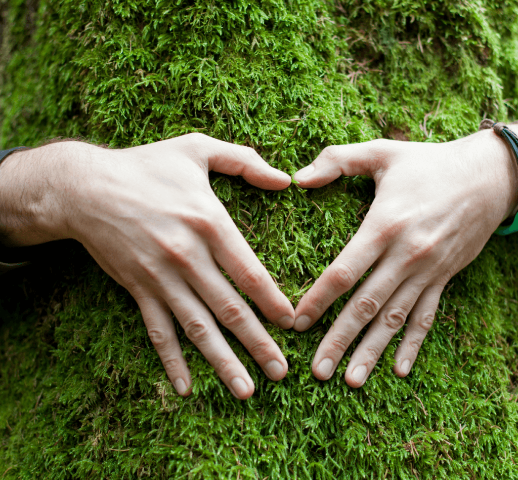 Põhjala looduskümbluse ja Green Care praktikate juhendaja koolitus