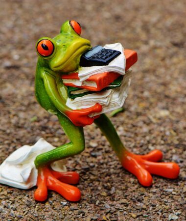 frog, figure, files, stack, pile of files, nature, office, decoration, green, animal, fun, cute, ceramic, calculator, office work, work, stress