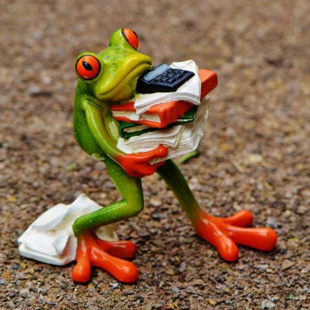 frog, figure, files, stack, pile of files, nature, office, decoration, green, animal, fun, cute, ceramic, calculator, office work, work, stress